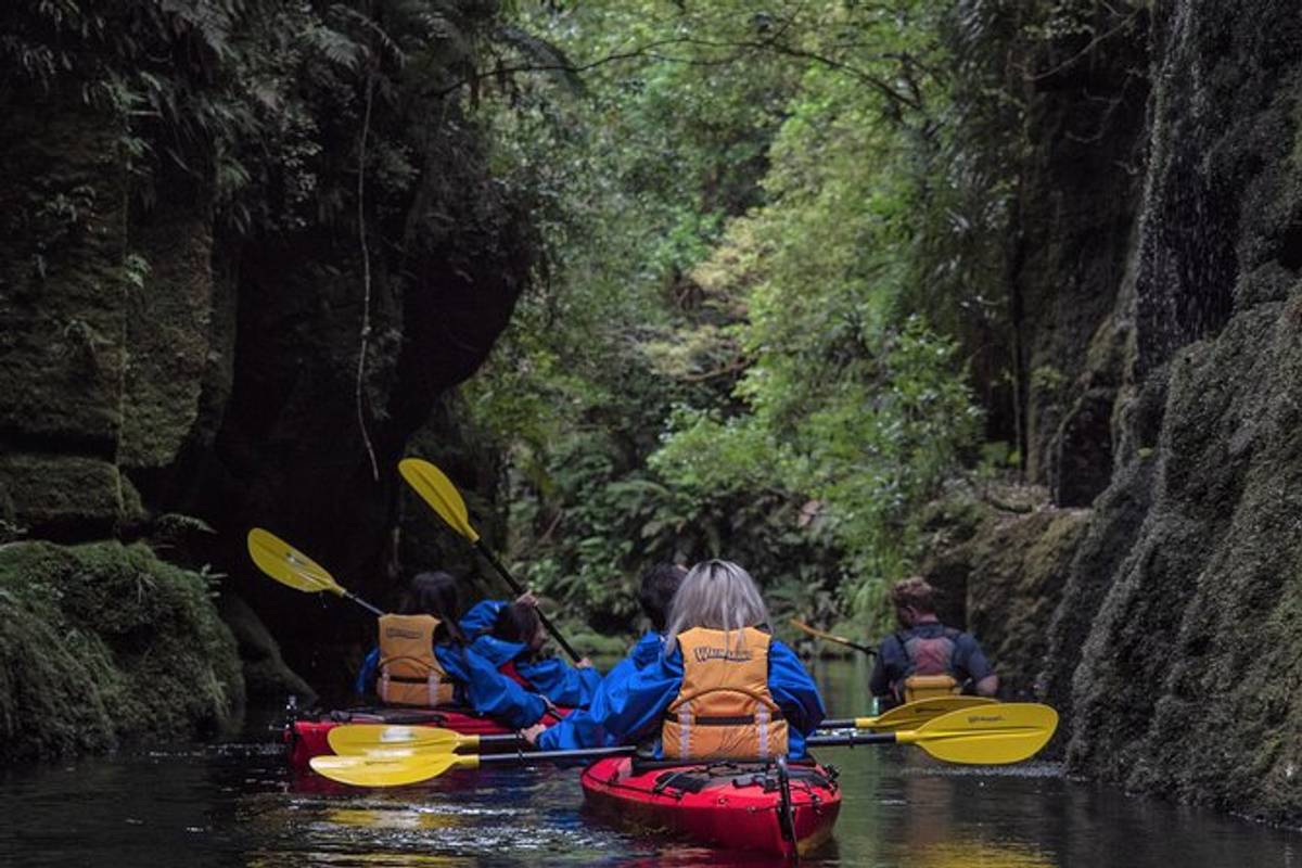 Lake McLaren Daytime Scenic Tour