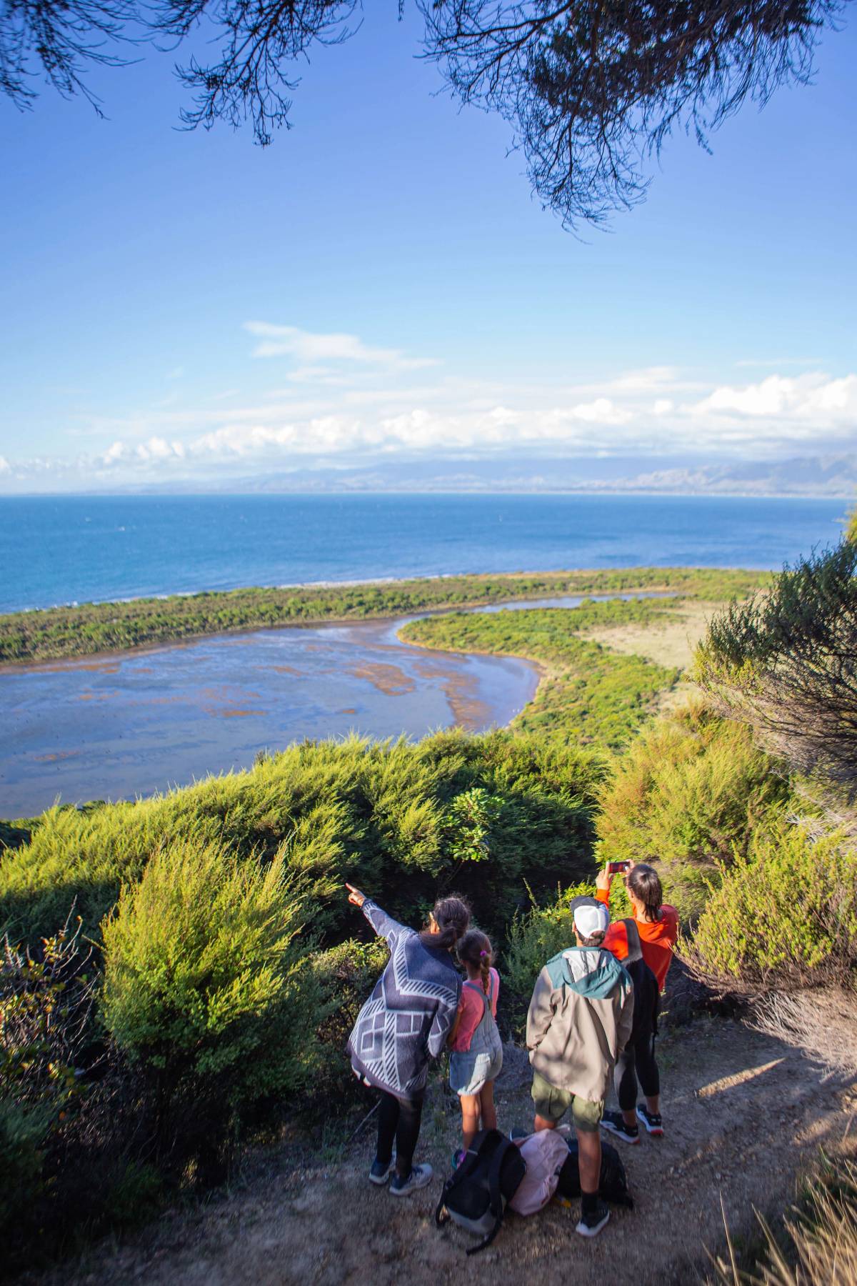 Get 15% off experiences in [Region] with Viator