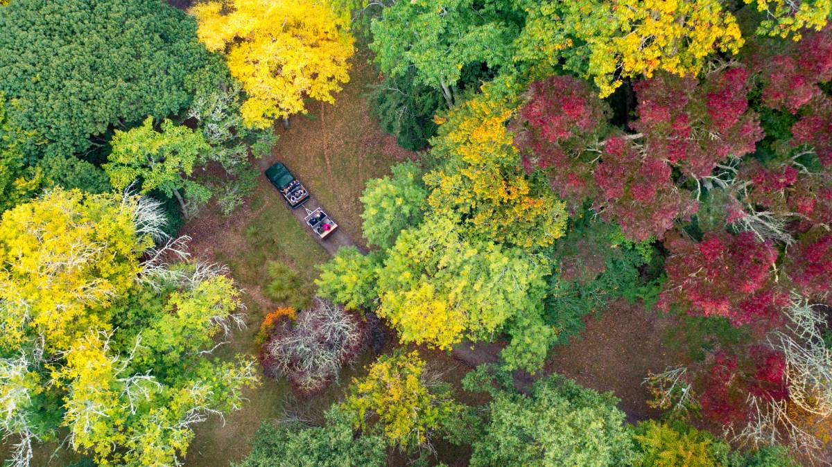 Get 15% off experiences in [Region] with Viator