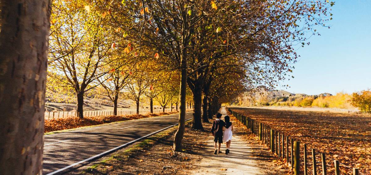 Get 15% off experiences in [Region] with Viator