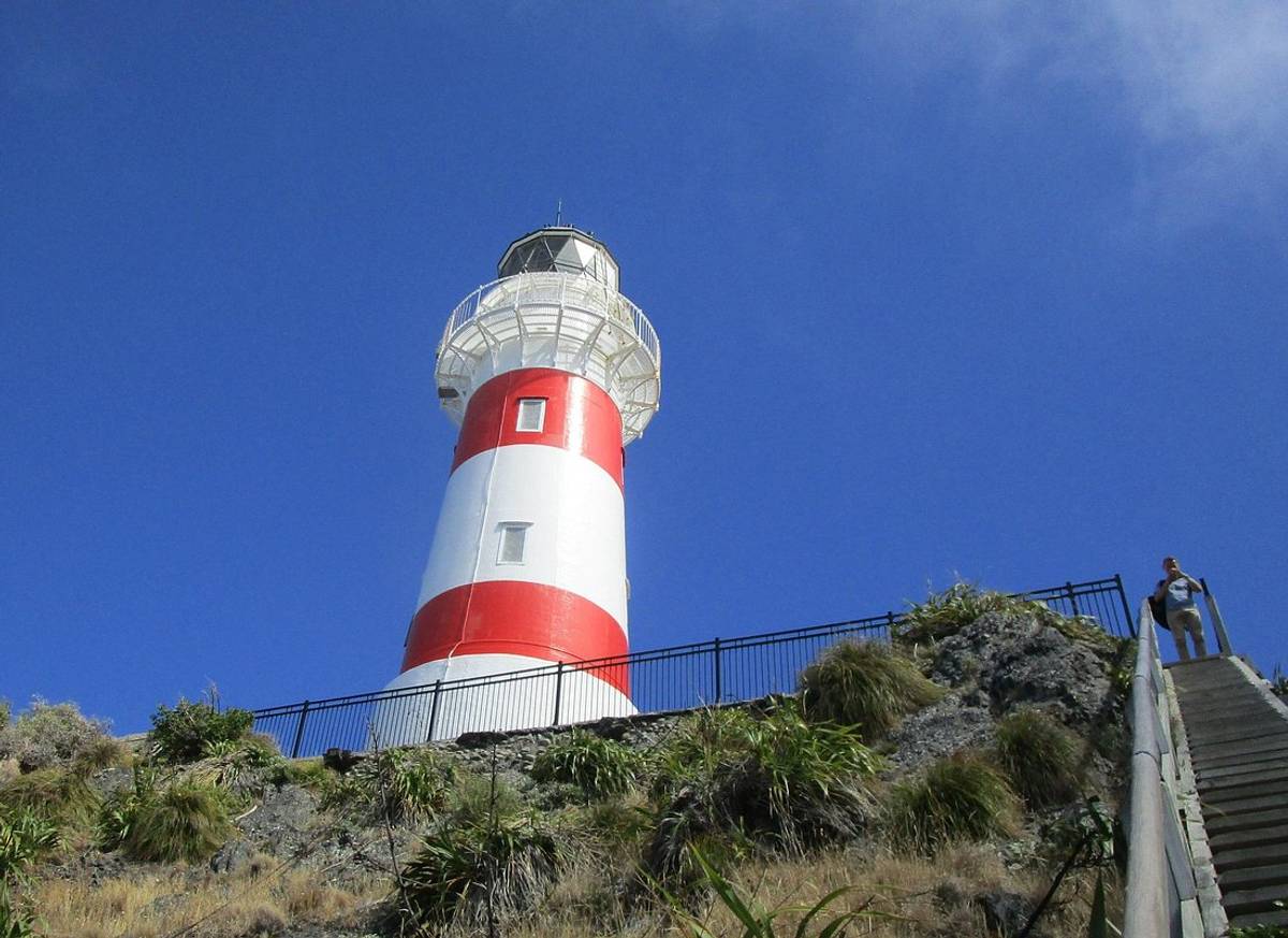 "Pinot to Palliser tour" - Guided tour to Cape Palliser with lunch + wine tasting
