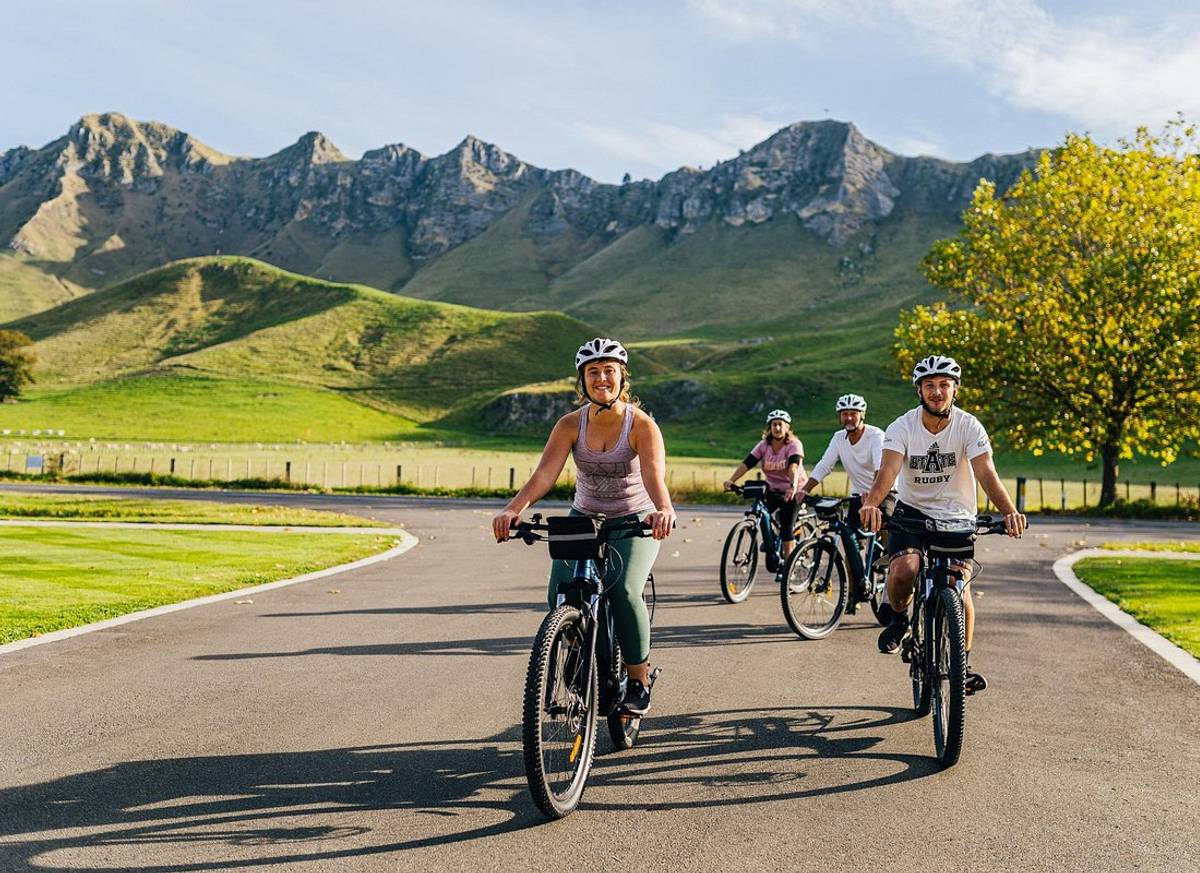 Cape Winery Cycle Tour - 6 wineries, self-guided