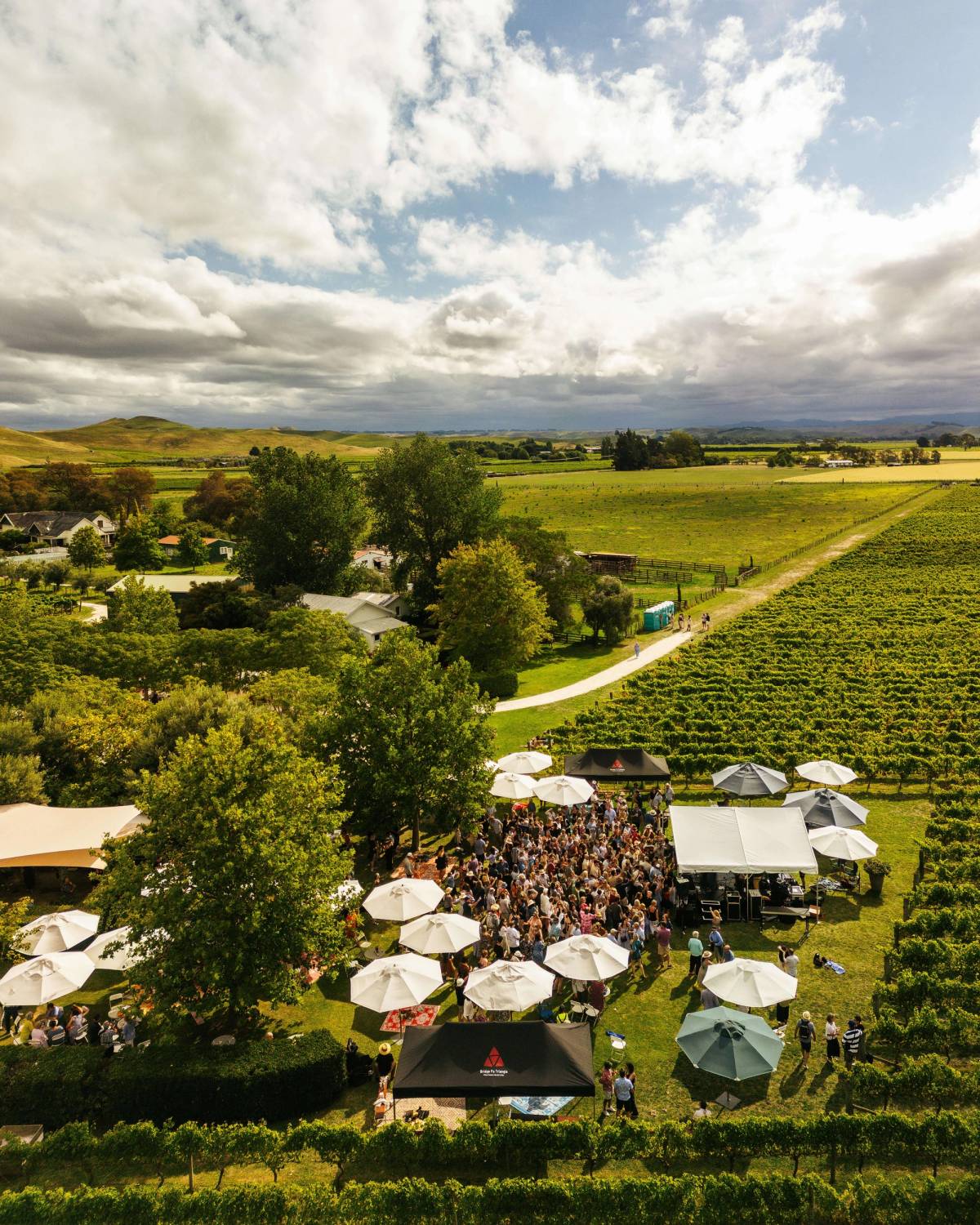 Get 15% off experiences in [Region] with Viator