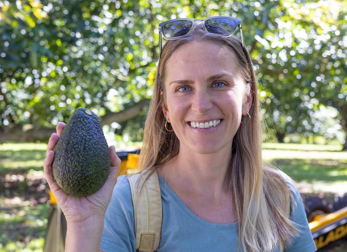 Katikati Gourmet Avocado Tasting