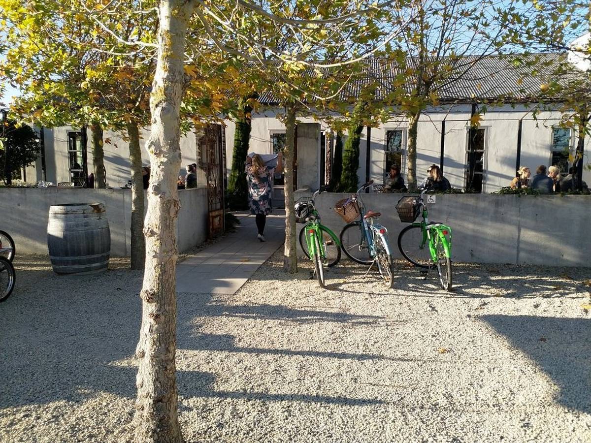 Poppies Martinborough