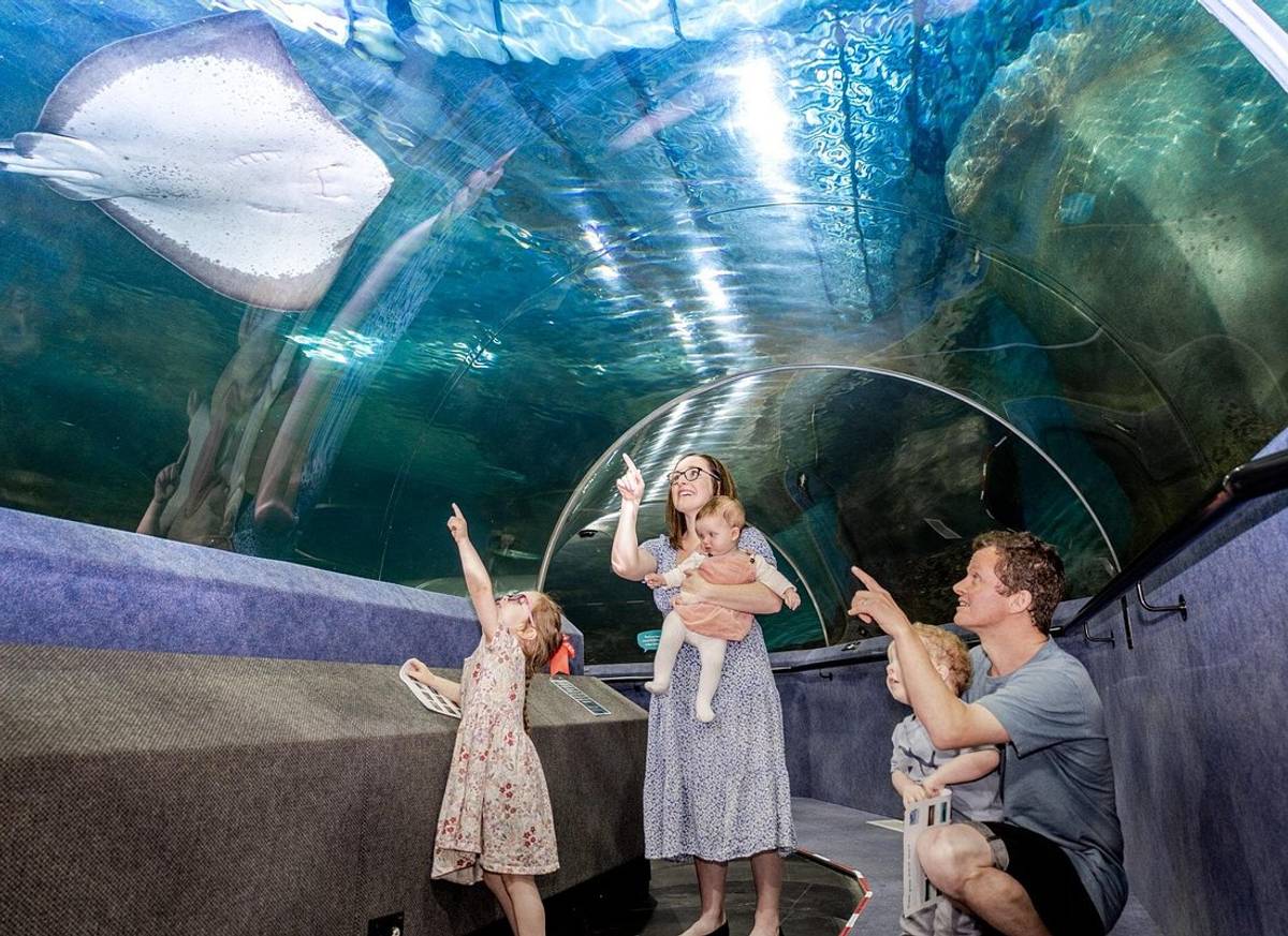 National Aquarium of New Zealand in Napier General Admission