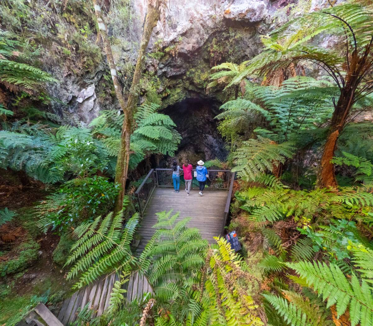 Get 15% off experiences in [Region] with Viator