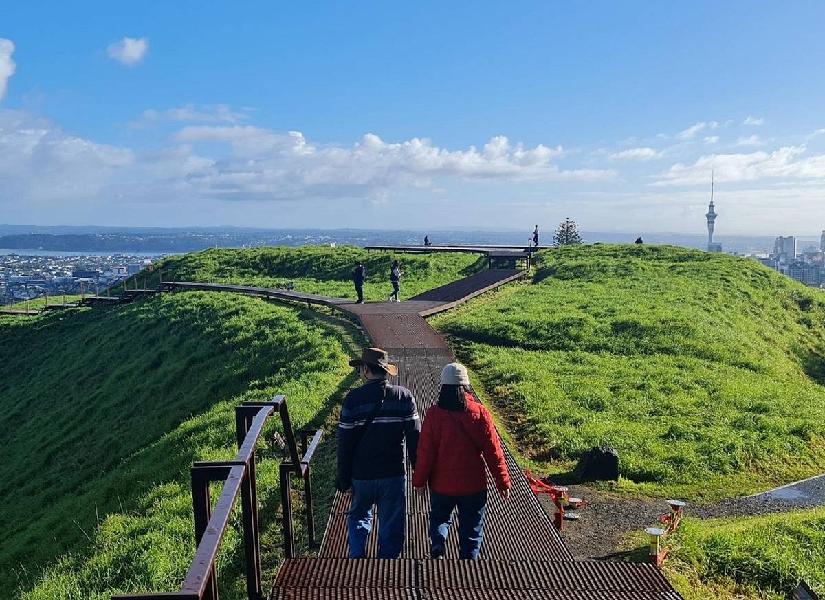 2025 Award Winning: Auckland City Highlights Half Day Tour