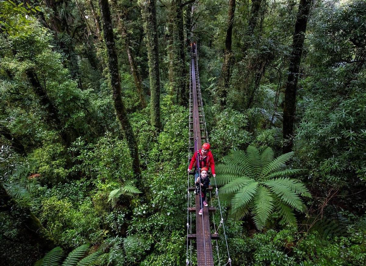 Rotorua Canopy Tours: 2.5 Hour Native Forest Zipline Adventure