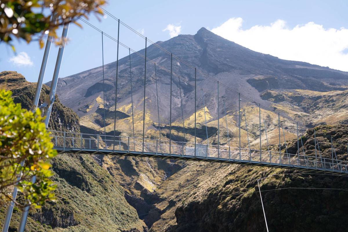 Get 15% off experiences in [Region] with Viator