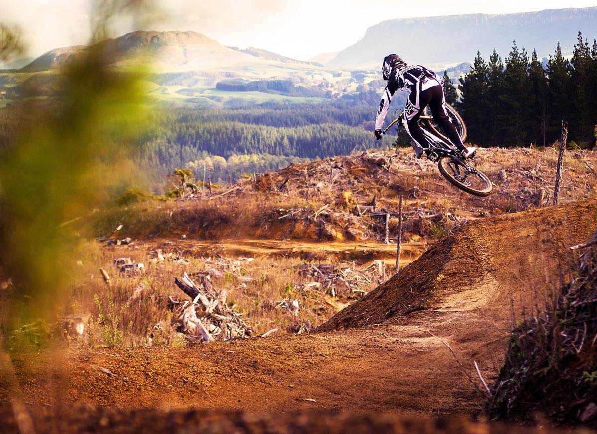 Half-Day Self-Guided Mountain Bike Journey through Whakarewarewa Redwood Forest