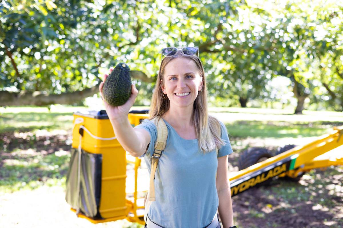 Get 15% off experiences in [Region] with Viator