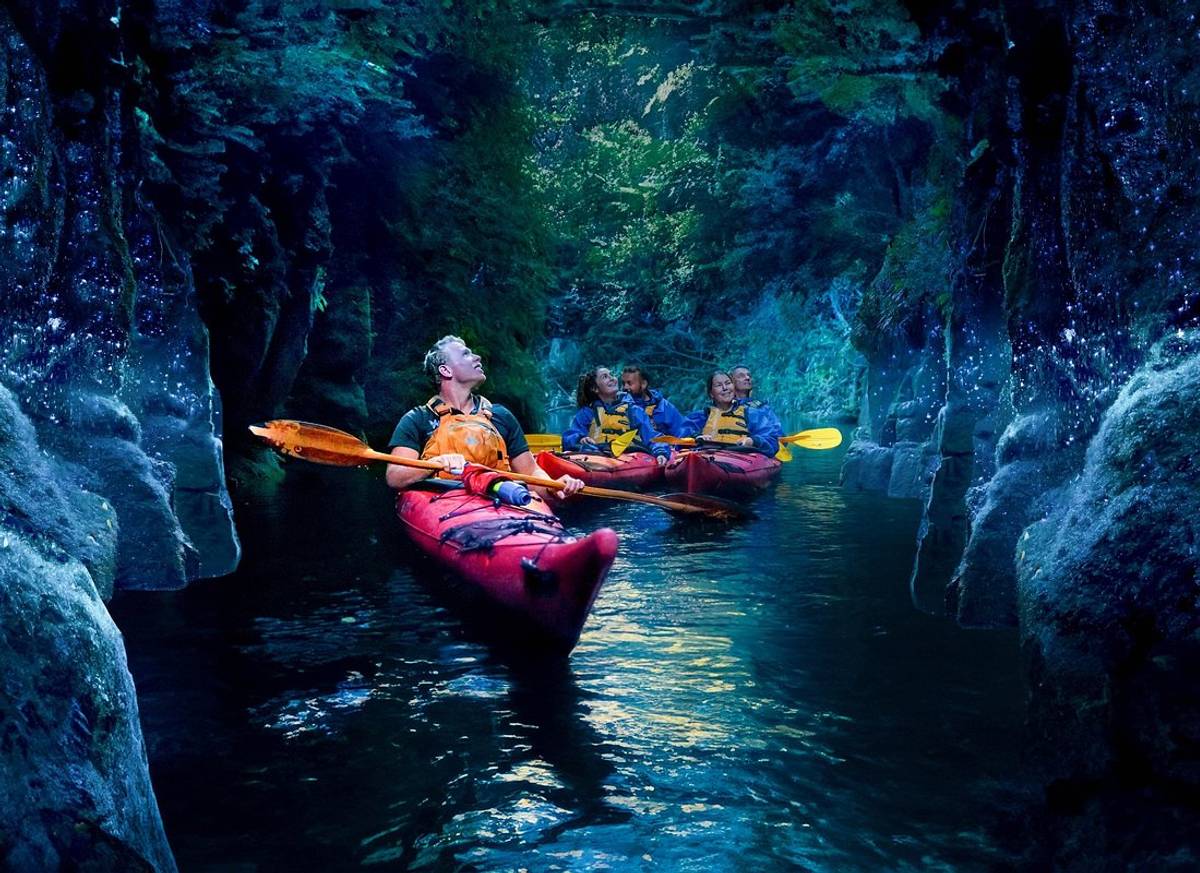 Tauranga: Evening Glowworm Kayak Tour