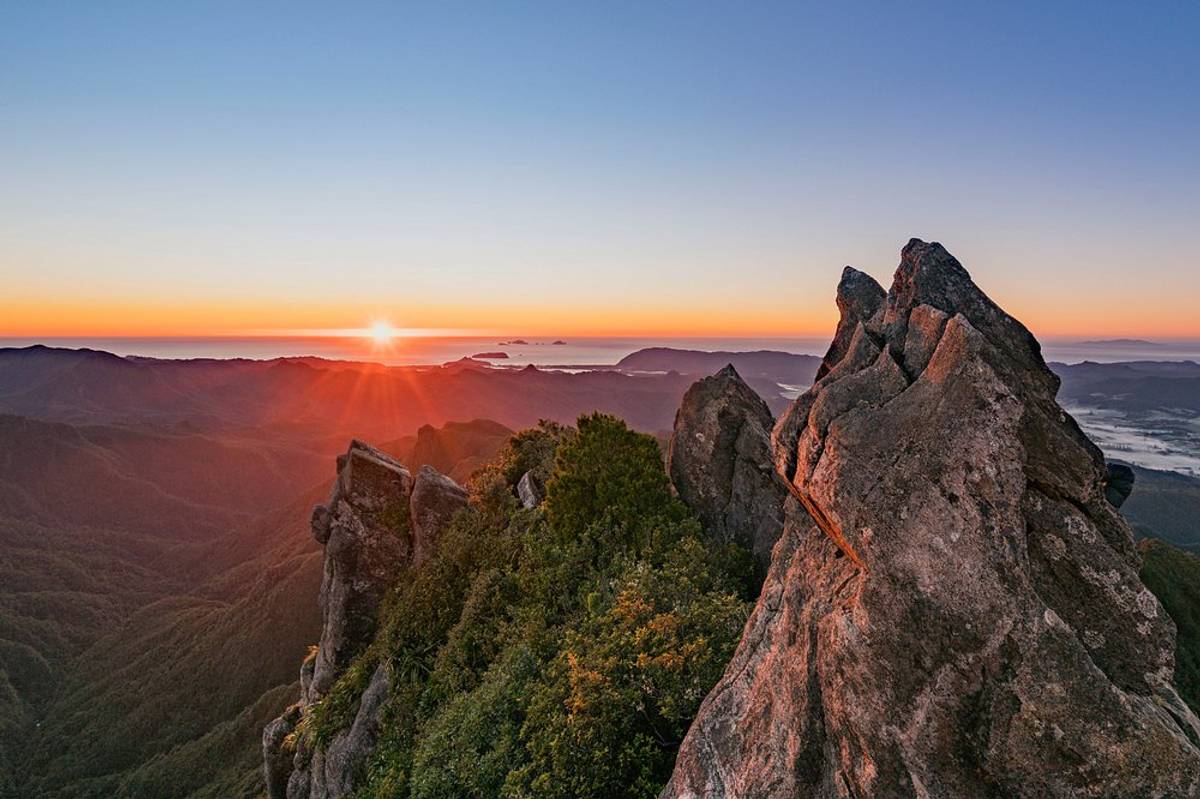 Kauaeranga Kauri Trail (Pinnacles Walk)