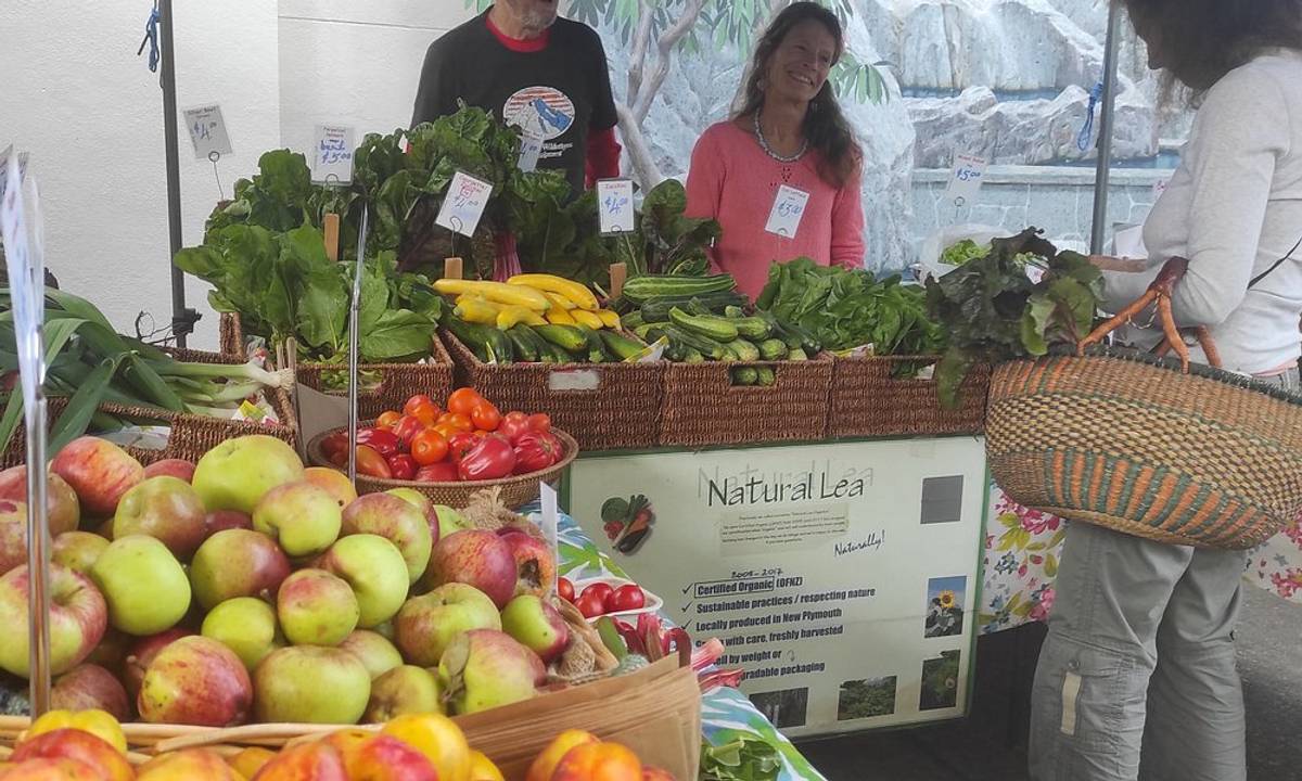 Farmers Market Taranaki