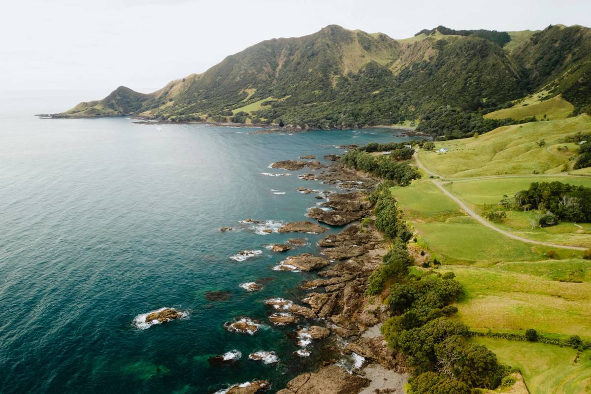 Get 15% off experiences in [Region] with Viator