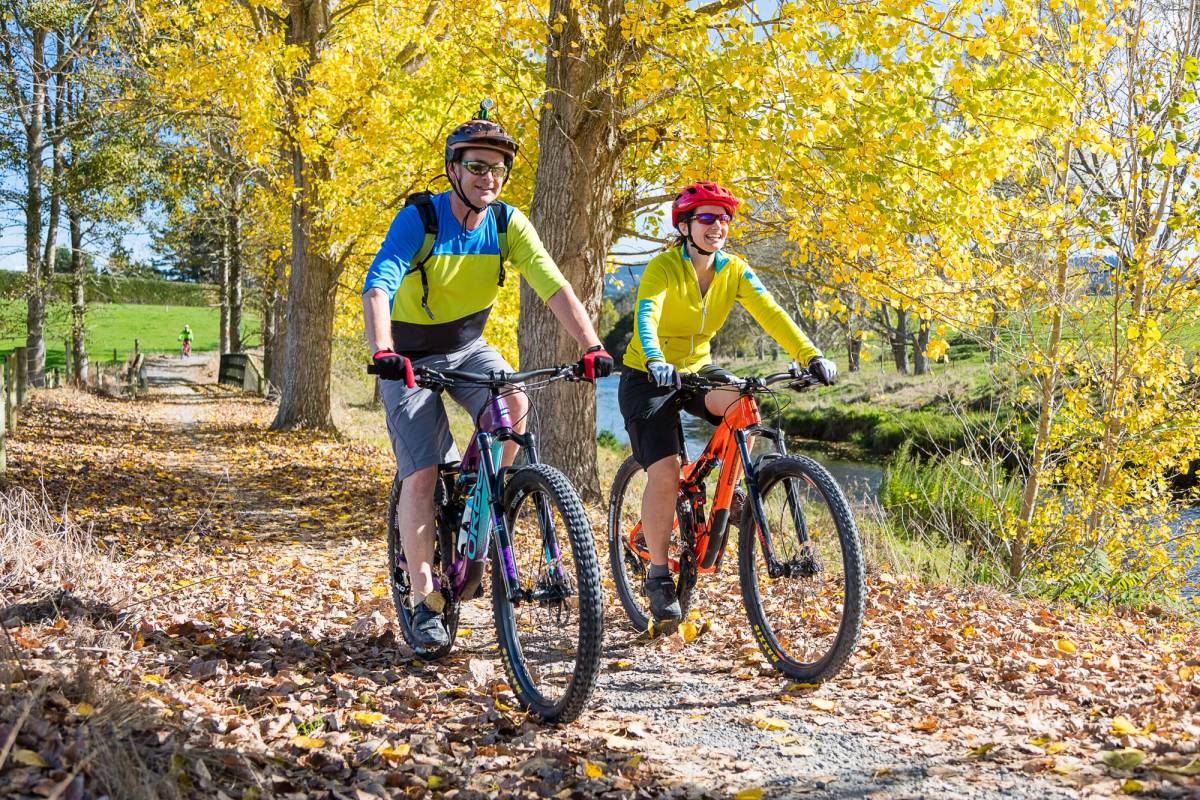 Get 15% off experiences in [Region] with Viator