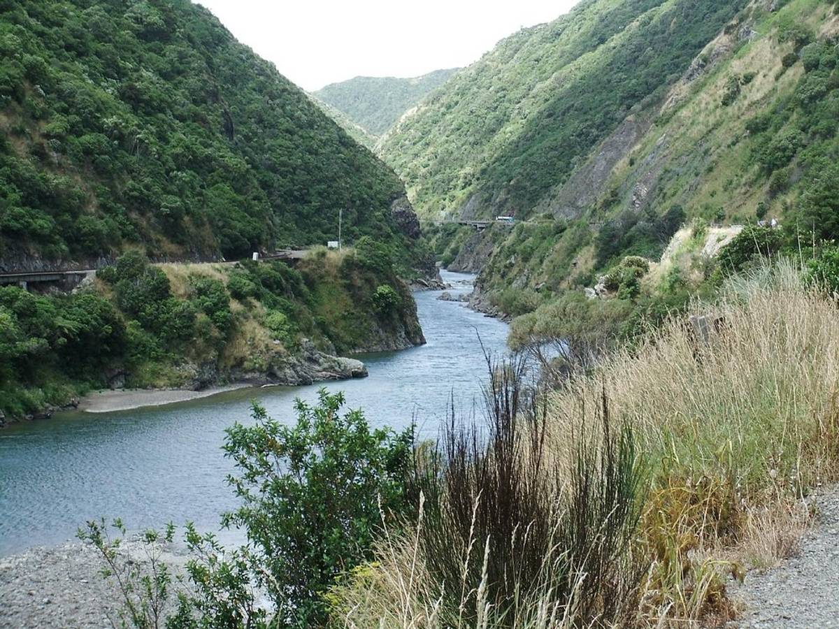 Manawatu Gorge Track