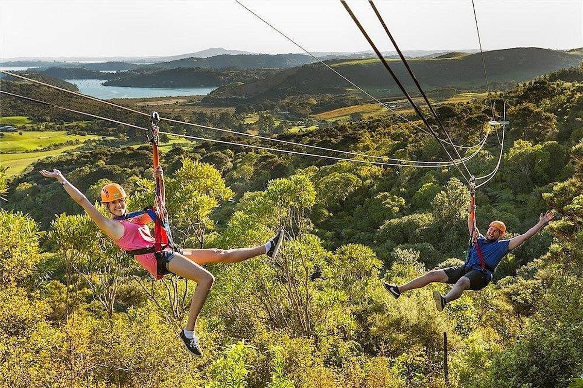 Waiheke Island: Zipline And Forest Walk