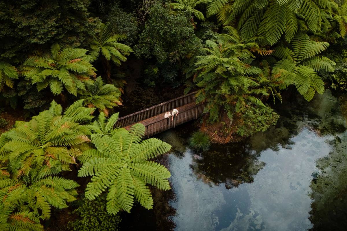 Get 15% off experiences in [Region] with Viator