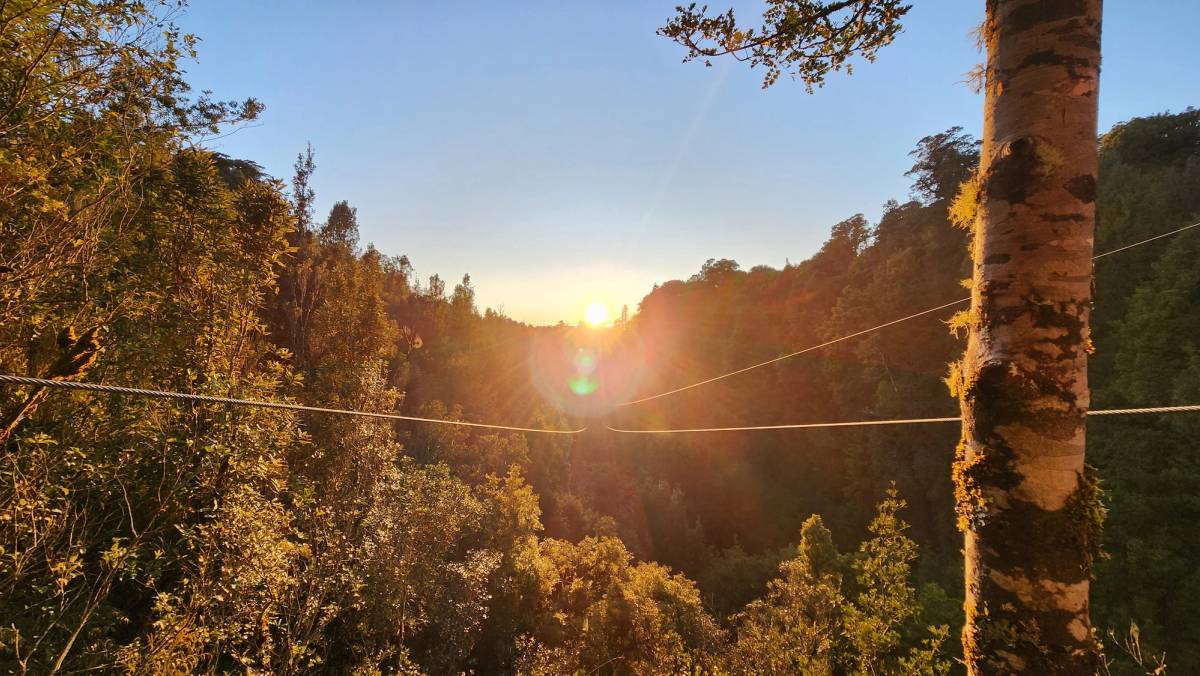 Get 15% off experiences in [Region] with Viator