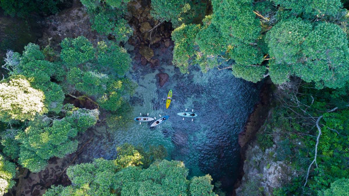 Get 15% off experiences in [Region] with Viator