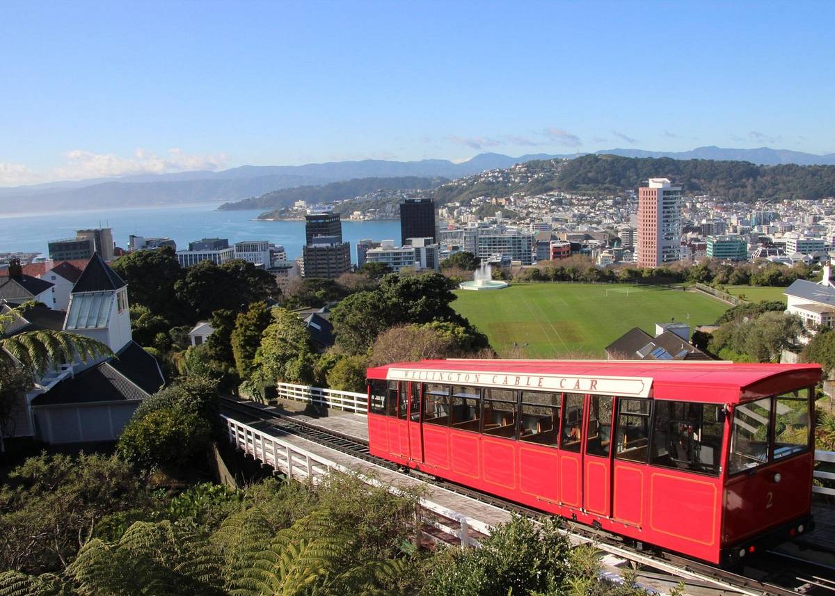 Discover Wellington 3 hour City Tour
