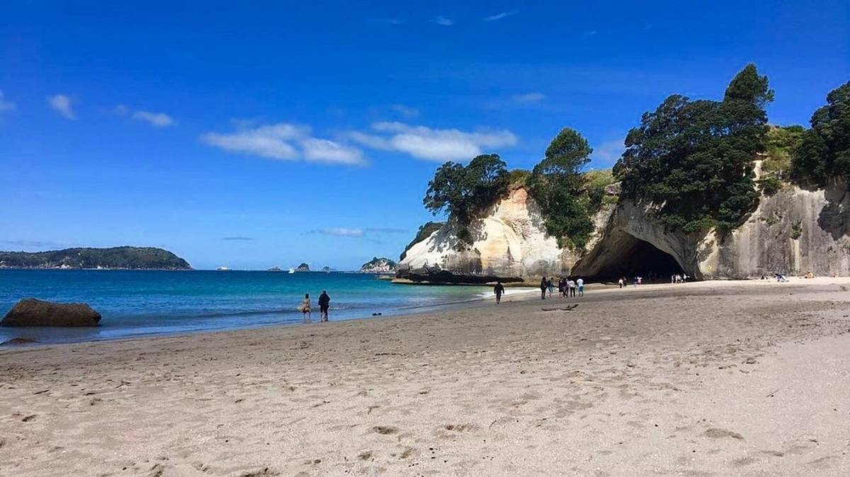 Coromandel Tui Lodge