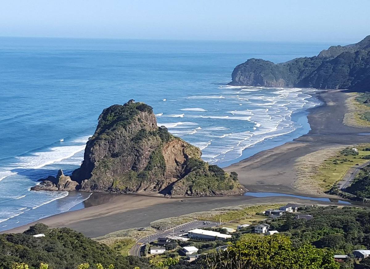 Afternoon Piha Beach and Rainforest Tour from Auckland
