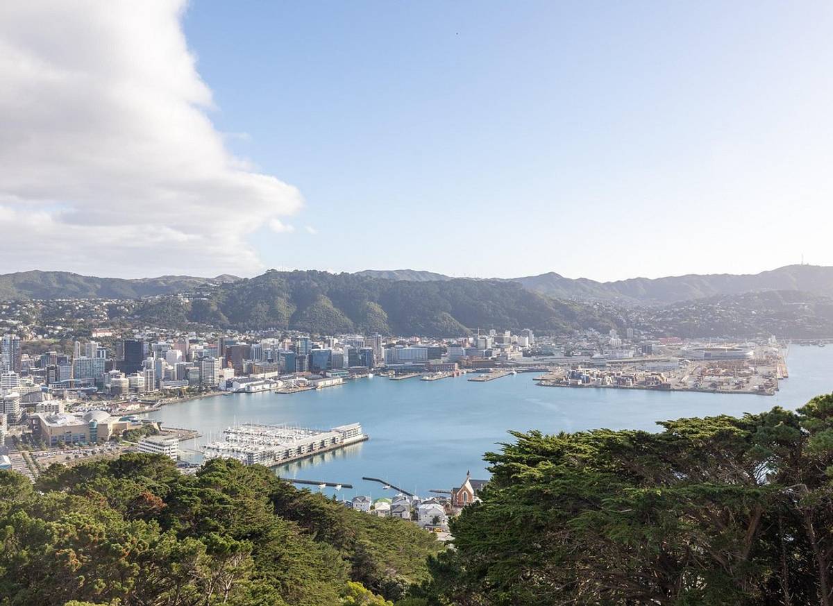 Half Day Guided Tour in Wellington including Cable Car