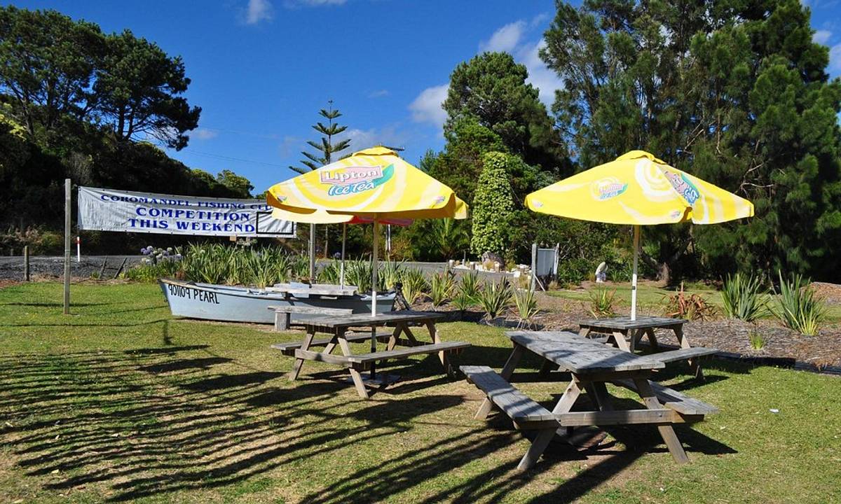 Coromandel Oyster Company