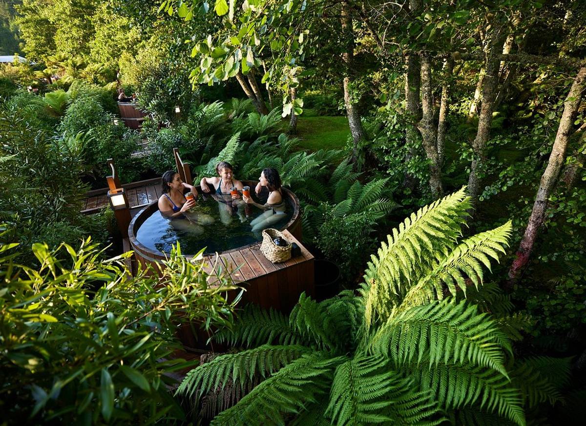 Rotorua Forest Hot Tub Soak at Secret Spot