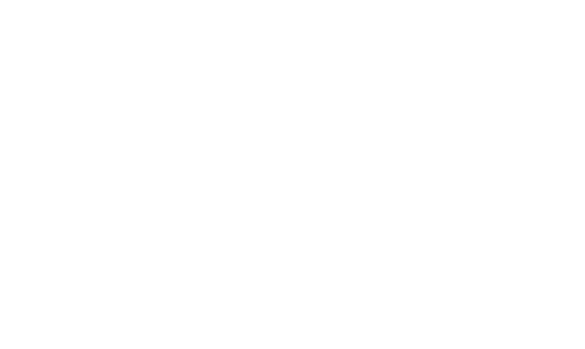 CHIC DPS Supplier