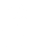 Stelios Award for Disabled Entrepreneurs UK