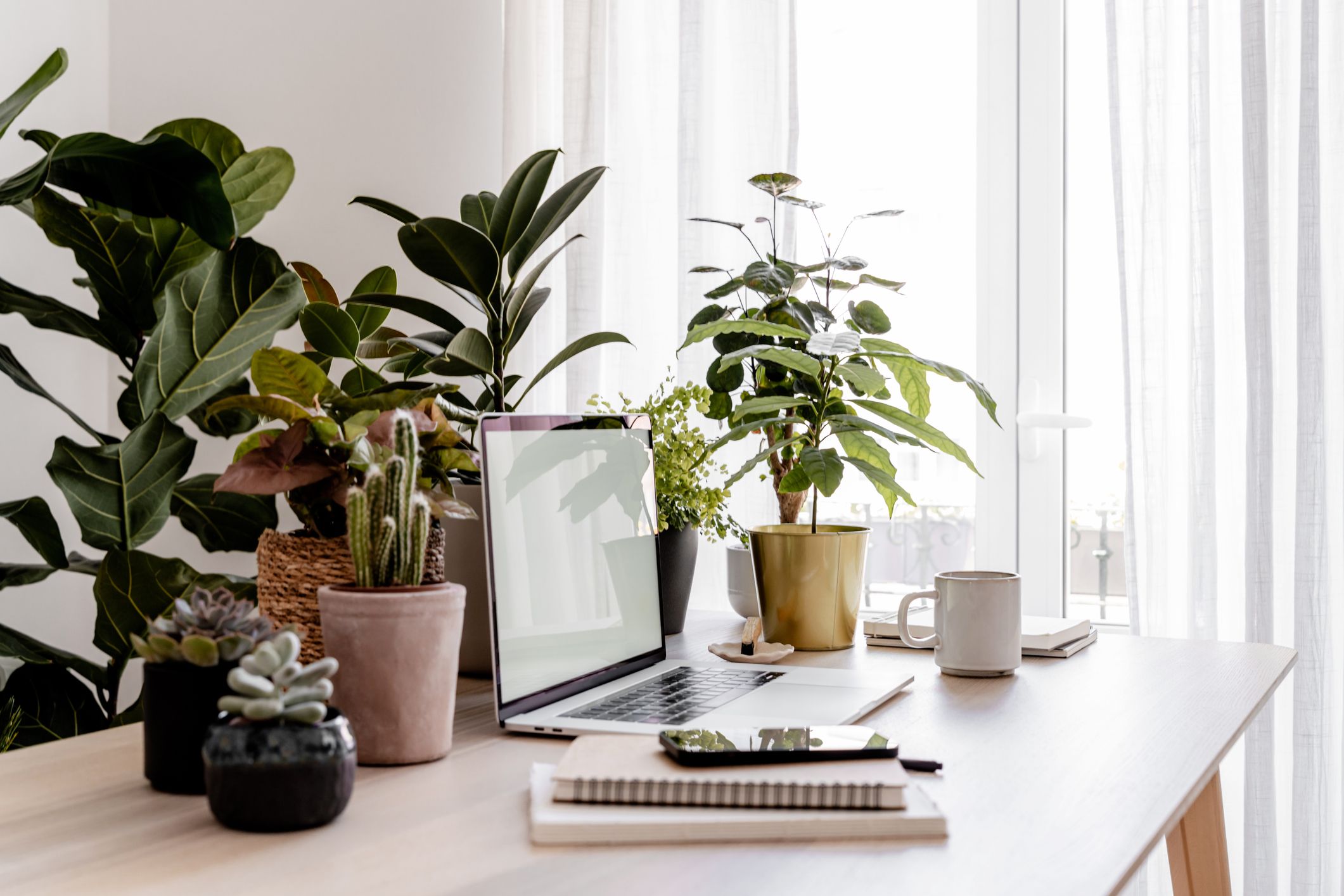 A desk workspace surrounded by houseplants with a laptop, books, and a cozy atmosphere.