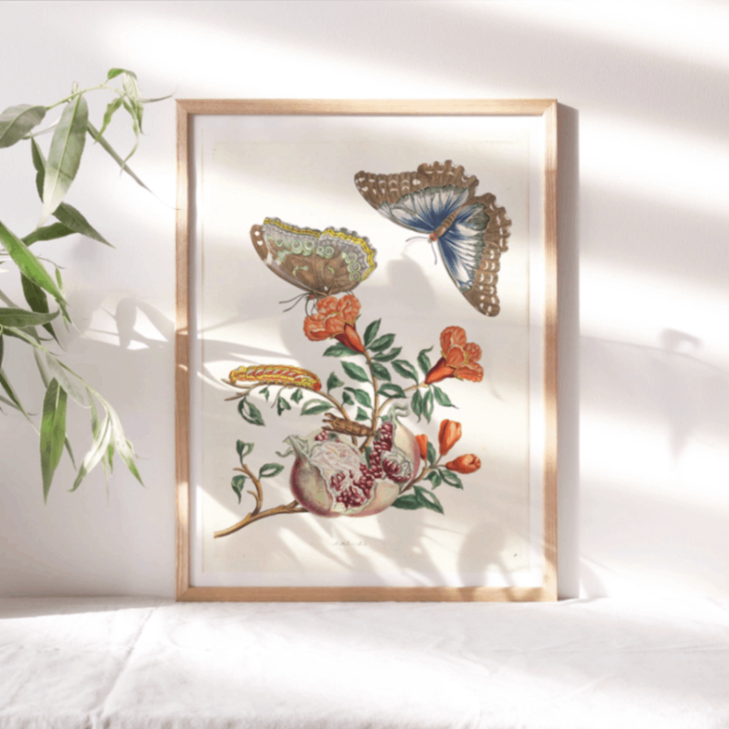 Framed botanical print of butterflies and flowers in a natural wood frame on a sunlit shelf.
