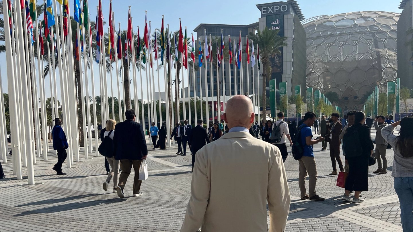 IMG_5075_cropped-scaled