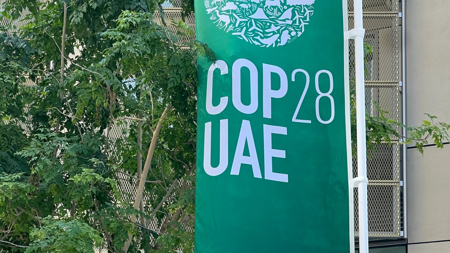 IMG_5079_cropped-scaled