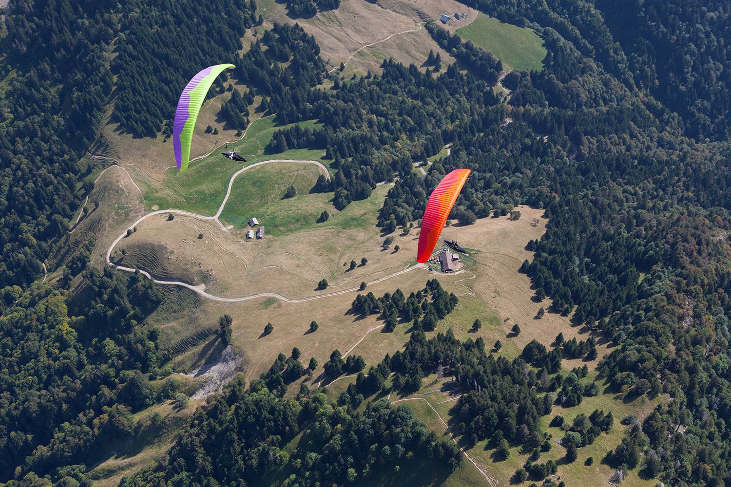 Zeno | Ozone Paragliders