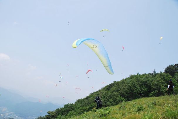 Enzo 2 Wins 2015 Korea Open Champs