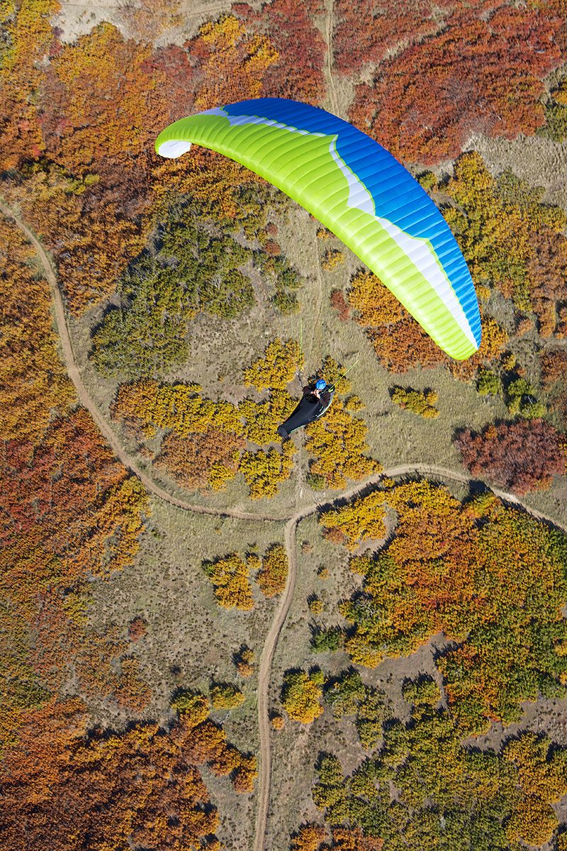 SWIFT 4 | Ozone Paragliders