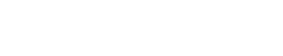 Enzo 3