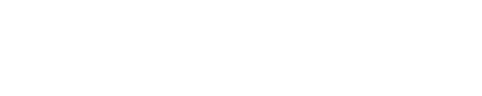 ENZO 3
