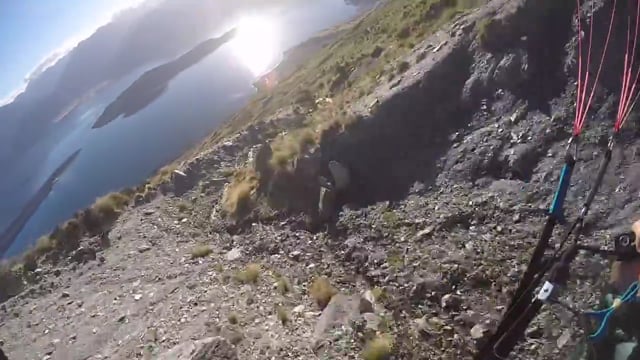 Para Pigeon - Minor Peak