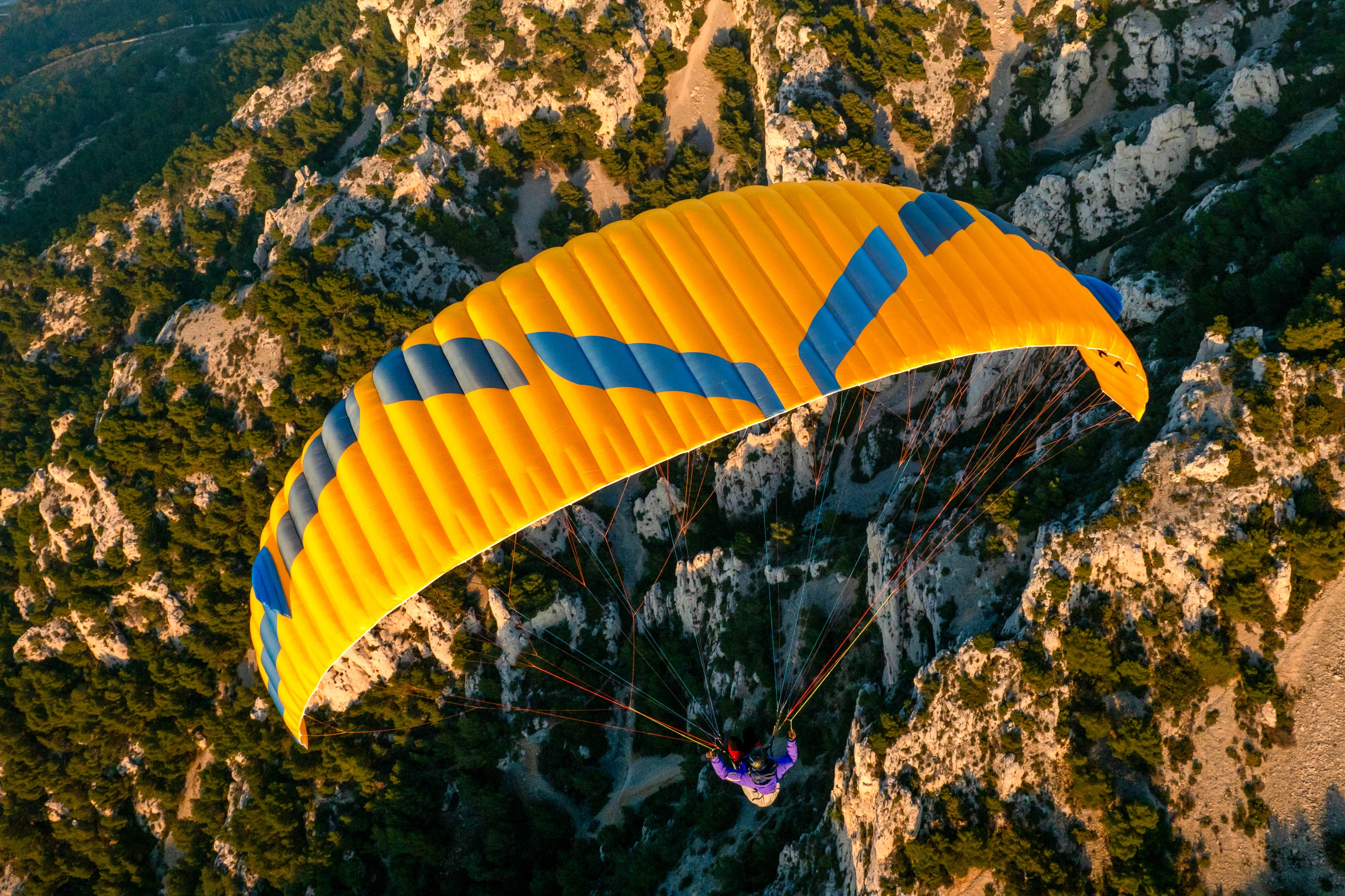 Alta | Ozone Paragliders