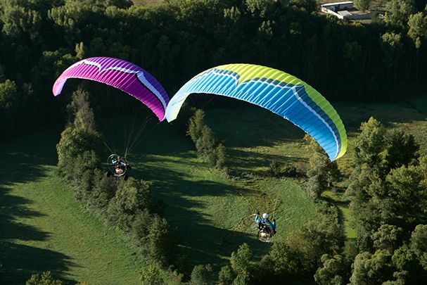 プロモ 12' PARAPARA PARADISE 3 グレー盤 プロモ 12' PARAPARA PARADISE 3 グレー盤 Yahoo!オークション -「card