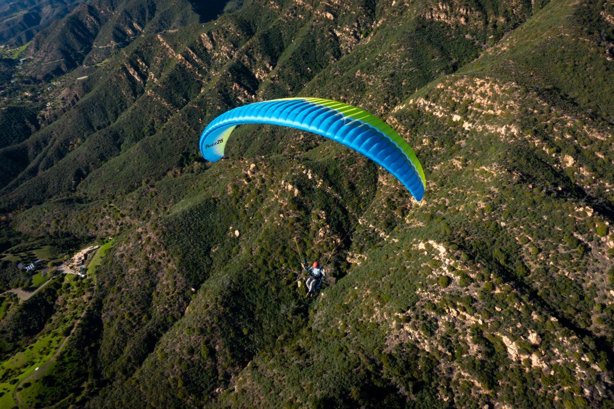 Buzz Z6 | Ozone Paragliders