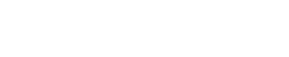 Buzz Z6