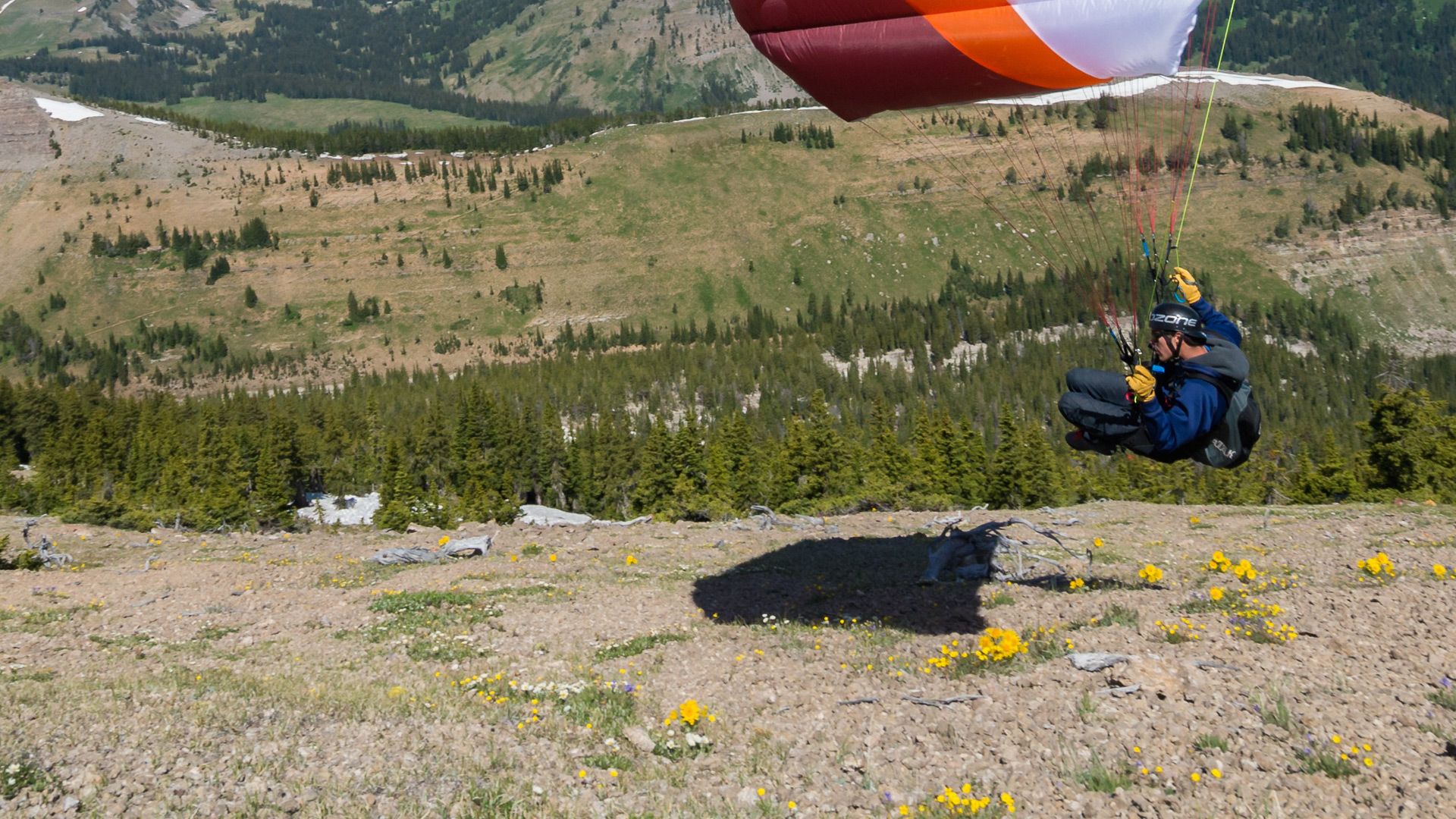 8730600d6b973560222d1593037976