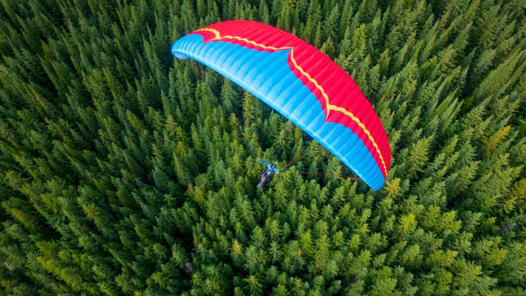 パラグライダー売りたし パラグライダー |【公式】 MPG琵琶湖 | Flying-biwako.com